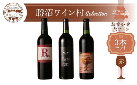 ワイン村 おまかせワイン(赤)3本セット(KWV)D4-620 【ワイン 赤ワイン 甲州市 山梨県】山梨県甲州市40000酒・アルコールワイン