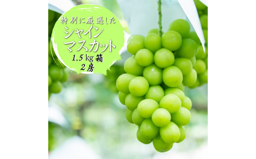ӂ邳Ɣ[ł̂߂ɓʂɑIʂ VC}XJbg 1.5kg 2[y2026NziWDNjB17-900 yVC}XJbg  Ԃǂ uhE ߘa8N Ԍ RY bBs t[c