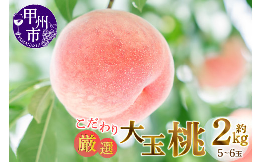 甲州市産厳選旬の桃大玉 約2kg 5〜6玉入り【2026年発送】(MG)B-481山梨県甲州市13000果物・フルーツもも・すもも