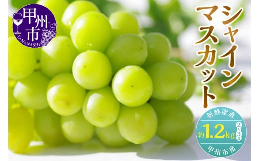新鮮産直甲州市!シャインマスカット 約1.2kg 2〜3房【2026年発送】(KSF)B12-170山梨県甲州市12000果物・フルーツマスカット・ぶどう