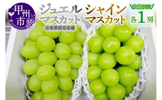 ジュエルマスカットとシャインマスカット2房セット【2026年発送】(MG)B15-480山梨県甲州市15000果物・フルーツマスカット・ぶどう