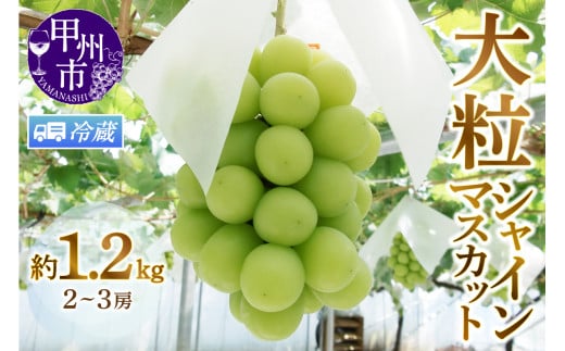 yN[֔zbBsYI{̑嗱VC}XJbg 1.2kg 2`3[y2026NziMGjB12-472CORbBs14000ʕEt[c}XJbgEԂǂ