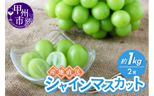 産地直送やみつきシャインマスカット 約1kg(2房)【2026年発送】(RC)B-434山梨県甲州市10000果物・フルーツマスカット・ぶどう