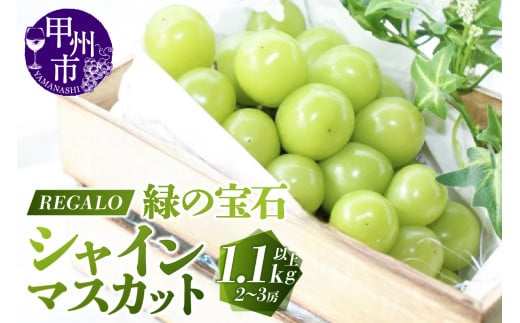 頬張る幸福感 〜緑の宝石・シャインマスカット〜 1.1kg以上(2〜3房)【2026年発送】(RG)B-846山梨県甲州市12000果物・フルーツマスカット・ぶどう
