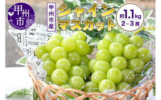 R̎RY񂾃XC[gGhbBsYVC}XJbgI1.1kg 2`3[y2026NziUDjB-867RbBs12000ʕEt[c}XJbgEԂǂ