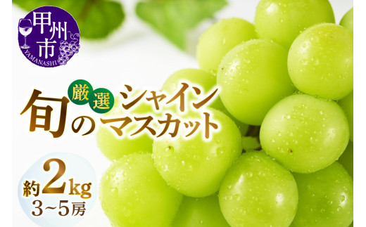 甲州市産厳選旬のシャインマスカット 約2kg 3房〜5房入り【2026年発送】(MG)B18-450山梨県甲州市20000果物・フルーツマスカット・ぶどう