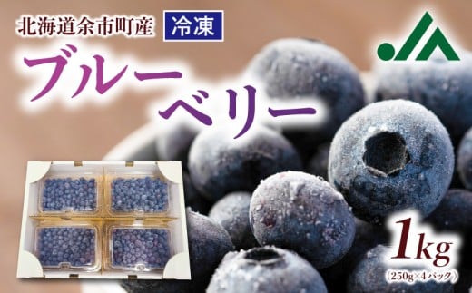 甘い! ジューシー! 余市町産冷凍ブルーベリー 250g×4パック 北海道産ブルーベリー 北海道ブルーベリー 余市産ブルーベリー 余市町ブルーベリー  ブルーベリー 1kg フルーツ 冷凍フルーツ 果