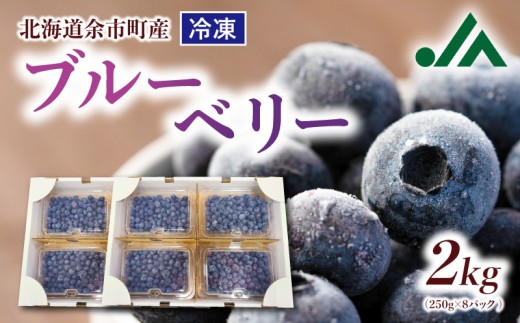 冷凍ブルーベリー 250g×4パック×2箱 北海道産 甘くてジューシー 余市産 ブルーベリー 250g × 4パック × 2箱 合計 2kg 冷凍 北海道産 国産 高い栄養価 抗酸化作用 高血圧予防 フルーツ 果物 小