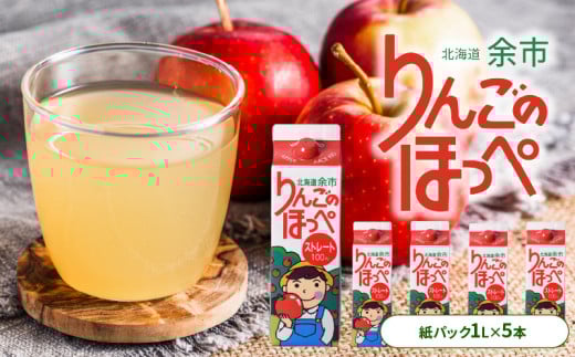 りんごの産地 北海道産 りんご ジュース アップルジュース りんごのほっぺ 1L × 5本 果汁100% ストレート 紙パック 飲料 果物 フルーツ りんご アップル 美味しい お取り寄せ 飲み物 贈り物 ギ