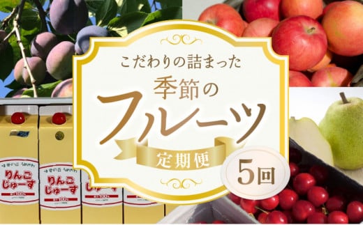 【5回定期便】東谷農園 こだわりの詰まった季節の フルーツ 定期便北海道余市町93000果物・フルーツ