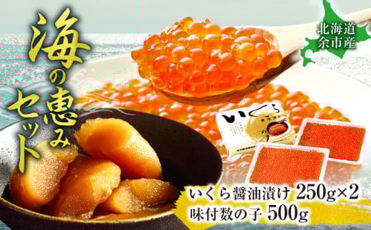 余市漁協おすすめの逸品【年末年始の贈答品・おせち料理にぴったり】本場北海道産「いくら醤油漬け500グラム」と「味付数の子(500グラム)」海の恵みセット北海道余市町47000魚介・海産