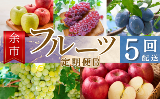 【余市町全5回フルーツ定期便】Bセット【産地直送】【ふるくり厳選】北海道余市町75000果物・フルーツ