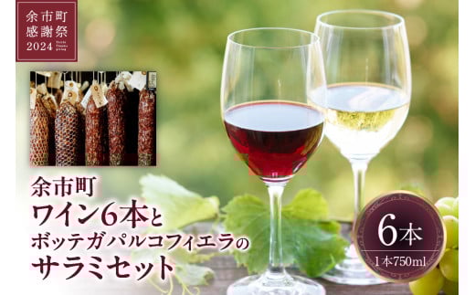 【余市町感謝祭2024】lot19 余市町ワイン6本とボッテガパルコフィエラのサラミセット北海道余市町172000酒・アルコールワイン