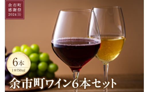 【余市町感謝祭2024】lot21 余市町ワイン6本セット北海道余市町154000酒・アルコールワイン