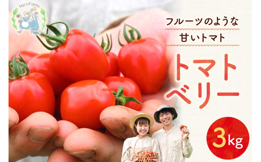 【先行予約:2026年7月下旬頃より発送】NicoFarm トマトベリー(ミニトマト)3Kg北海道余市町15000野菜・きのこトマト