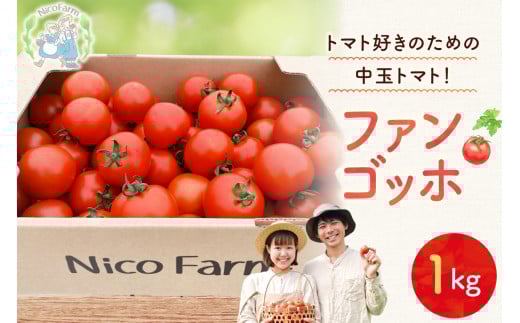 【先行予約:2026年7月下旬頃より発送】NicoFarm ファンゴッホ(中玉トマト)1Kg北海道余市町6000野菜・きのこトマト