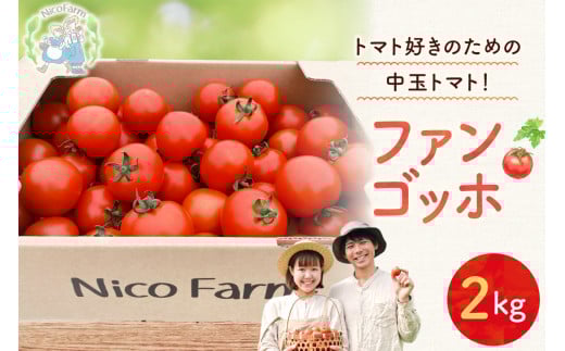 【先行予約:2026年7月下旬頃より発送】NicoFarm ファンゴッホ(中玉トマト)2Kg北海道余市町10000野菜・きのこトマト