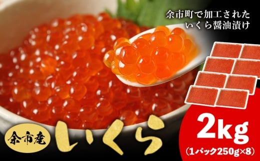 ]sY  500g × 4 2kg  kCY Ⓚ  Ⓚ ݖЂ ϔ 蕨 Mtg H H̗ Ƃ낯H ͂H kC ]skC]s98000ECY