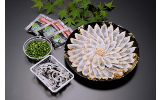 【着日指定可】天然まふくのタタキ刺し(約2〜3人前)山口県周南市14000魚介・海産物鮮魚
