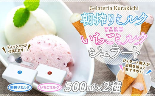 【数量限定】ジェラート 500ml×2種 食べ比べ 朝搾りミルク TAROいちごミルク【大容量 アイス 業務用 セット 合計 1リットル スイーツ 人気 デザート 冷凍 氷菓子 家族 ファミリーサイズ 苺】山