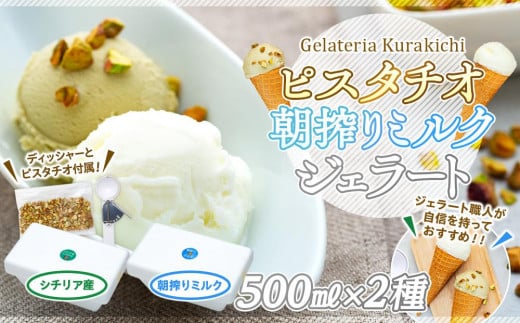 【数量限定】ジェラート 500ml×2種 食べ比べ  シチリア産 ピスタチオ 朝搾りミルク【大容量 アイス 業務用 セット 合計 1リットル スイーツ 人気 デザート 冷凍 氷菓子 家族 ファミリーサイズ
