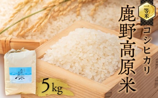 令和7年産 コシヒカリ 5 kg 鹿野高原米 精米山口県周南市17000米・パン白米