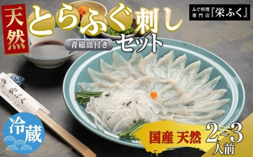 【12月31日着限定】天然とらふぐ ふぐ刺しセット(2〜3人前)青磁皿27cm付山口県周南市100000魚介・海産物鮮魚