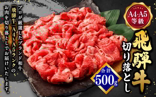 飛騨牛 A4 A5 等級 切り落とし 500g | 肉のかた山 牛肉 牛 肉 焼肉 すき焼き しゃぶしゃぶ 和牛 黒毛和牛 国産 M11S66岐阜県美濃加茂市11000肉牛肉