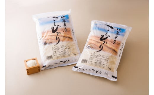 岐阜県産 コシヒカリ 5kg × 2袋 計10kg | お米 米 白米 精米 ごはん岐阜県美濃加茂市20000米・パン白米