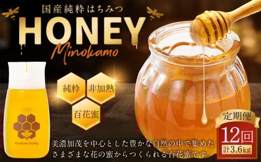 【12ヶ月定期便】国産 無添加 MINOKAMO HONEY はちみつ 1本(300g)×12回 | 藤井養蜂 蜂蜜 ハニー 非加熱 純粋 百花蜜 定期便 岐阜岐阜県美濃加茂市56000鍋セット・総菜・加工食品ジャム・はちみ