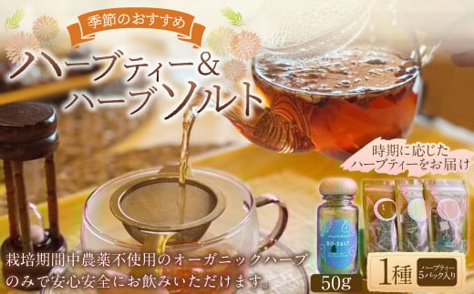 【ハーブ専門店】ハーブソルト(50g)&季節のハーブティー(1種 5パック) | お茶 ハーブティー ハーブ 塩 ソルト ブレンド 調味料岐阜県美濃加茂市10000お茶・飲料お茶