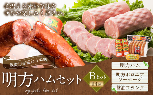 明方ハム Bセット 計4個 | めぐみの農業協同組合 国産豚肉 肉 お肉 ハム ボロニアソーセージ フランク 詰め合わせ岐阜県美濃加茂市19000肉加工肉(ハム・ソーセージ等)