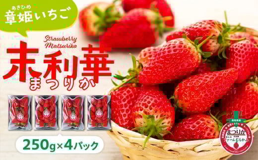 【先行予約】章姫(あきひめ)いちご 4P(250g×4) 「末利華(まつりか)」鳥取県琴浦町14000果物・フルーツいちご