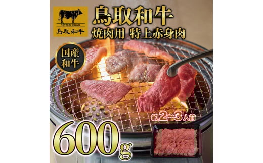 鳥取和牛 焼肉用 特上赤身肉 600g KT020-003鳥取県琴浦町22000肉牛肉