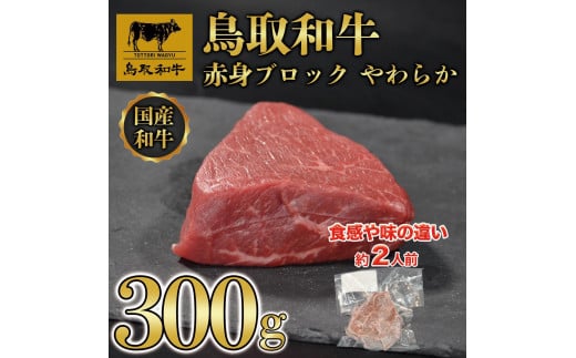 鳥取和牛 赤身肉 ブロック やわらか 300g KT010-023鳥取県琴浦町13000肉牛肉