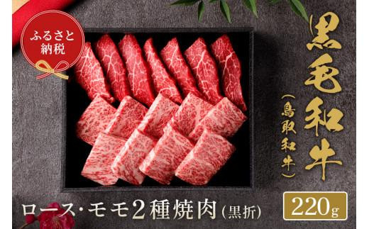 yaZuza [X E 2ē 220g挧ՉY18000