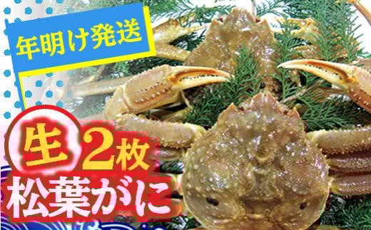 【先行予約】松葉ガニ(生なま)2枚【年明け配送】※着日指定不可※北海道、沖縄、一部離島への配送不可《ずわいがに かに カニ 蟹 正体》鳥取県琴浦町50000魚介・海産物カニ