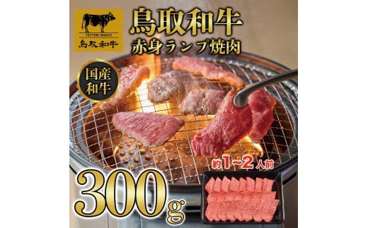 aԐgvē 300g  1438挧ՉY14000