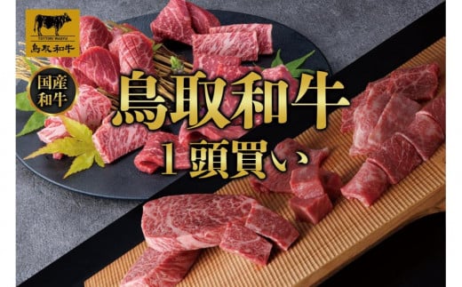 【定期便】鳥取和牛1頭買い 12か月定期便  TB3鳥取県琴浦町12000000肉牛肉