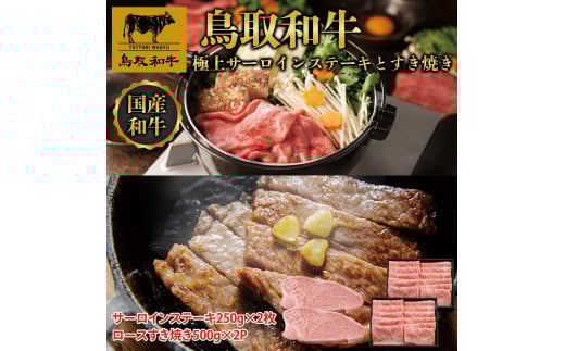 【定期便】鳥取和牛 極上サーロインステーキとすき焼き定期便 12か月  TB8鳥取県琴浦町1000000肉牛肉