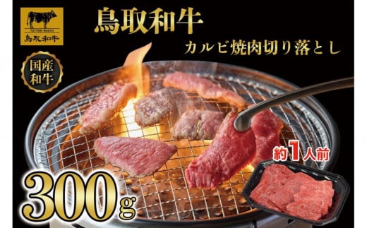 aJrē@؂藎Ƃ 300g  1297挧ՉY10000