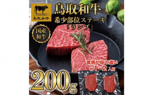 a󏭕ʃXe[Luvv2(200g)  1379挧ՉY13000
