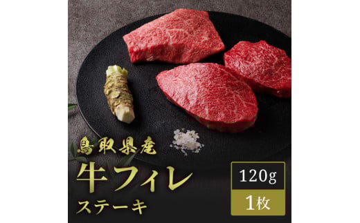 【和牛セレブ】鳥取県産牛ヒレステーキ 120g×1枚鳥取県琴浦町11000肉牛肉