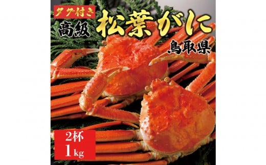 【2025年11月発送】特撰 松葉がに(茹)【ブランドタグ付き】1kg超の大きいサイズ 食べ応えあり 特大2杯鳥取県琴浦町204000魚介・海産物カニ