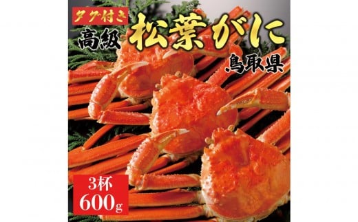 y2025N11z tɁi䥁jyuh^Otz600g̃TCY  3t挧ՉY140000ECYJj