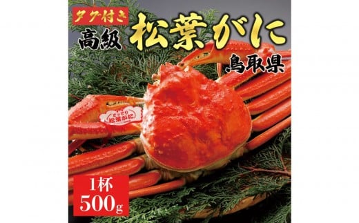 y2025N11z tɁi䥁jyuh^Otz500g̃TCY  1t挧ՉY44000ECYJj
