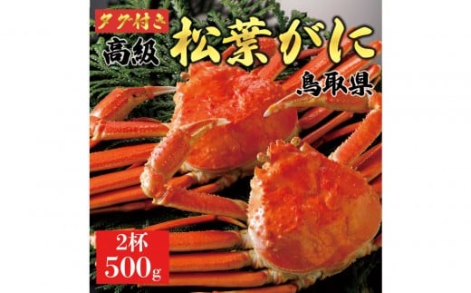 y2025N11z tɁi䥁jyuh^Otz500g̃TCY  2t挧ՉY83000ECYJj
