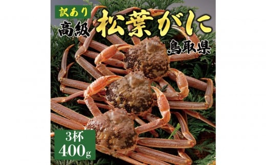 【2025年11月発送】特撰 松葉がに(なま)【訳あり】400g超のサイズ  3杯鳥取県琴浦町70000魚介・海産物カニ