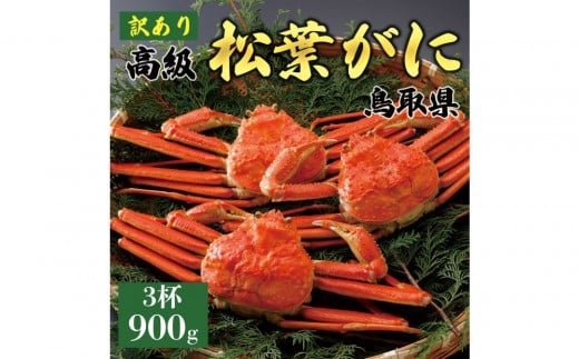 【2025年11月発送】特撰 松葉がに(茹)【訳あり】900g超の大きいサイズ 食べ応えあり 特大3杯鳥取県琴浦町176000魚介・海産物カニ