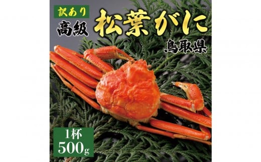 y2025N11z tɁi䥁jy󂠂z500g̃TCY  1t挧ՉY39000ECYJj